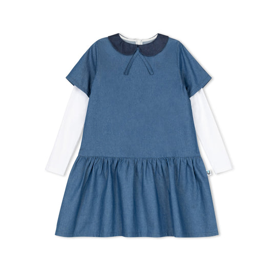 Drop Waisted Dress - Chambray